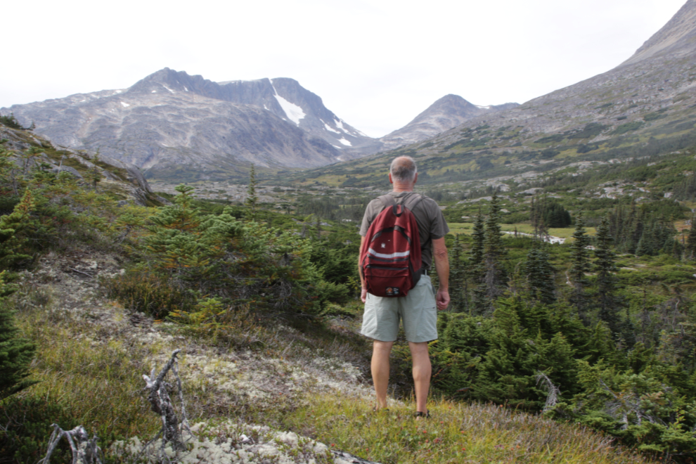 KUHL Resistor Lite Chino hiking shorts in the White Pass high country.