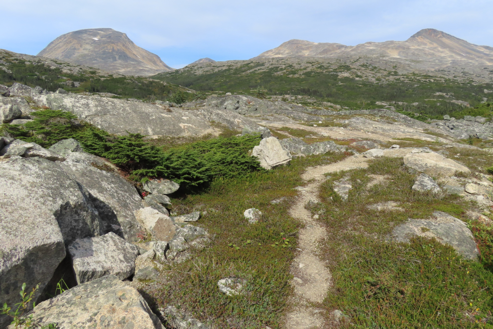 The start of a hike up Summit Creek on the South Klondike Highway.