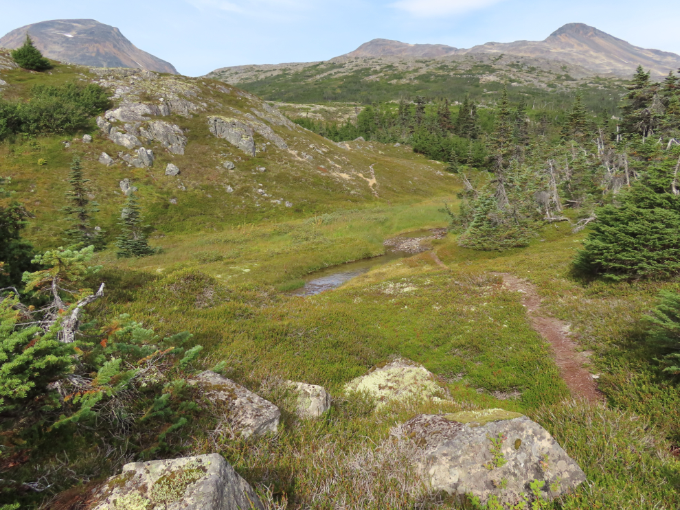 Hiking up Summit Creek on the South Klondike Highway.