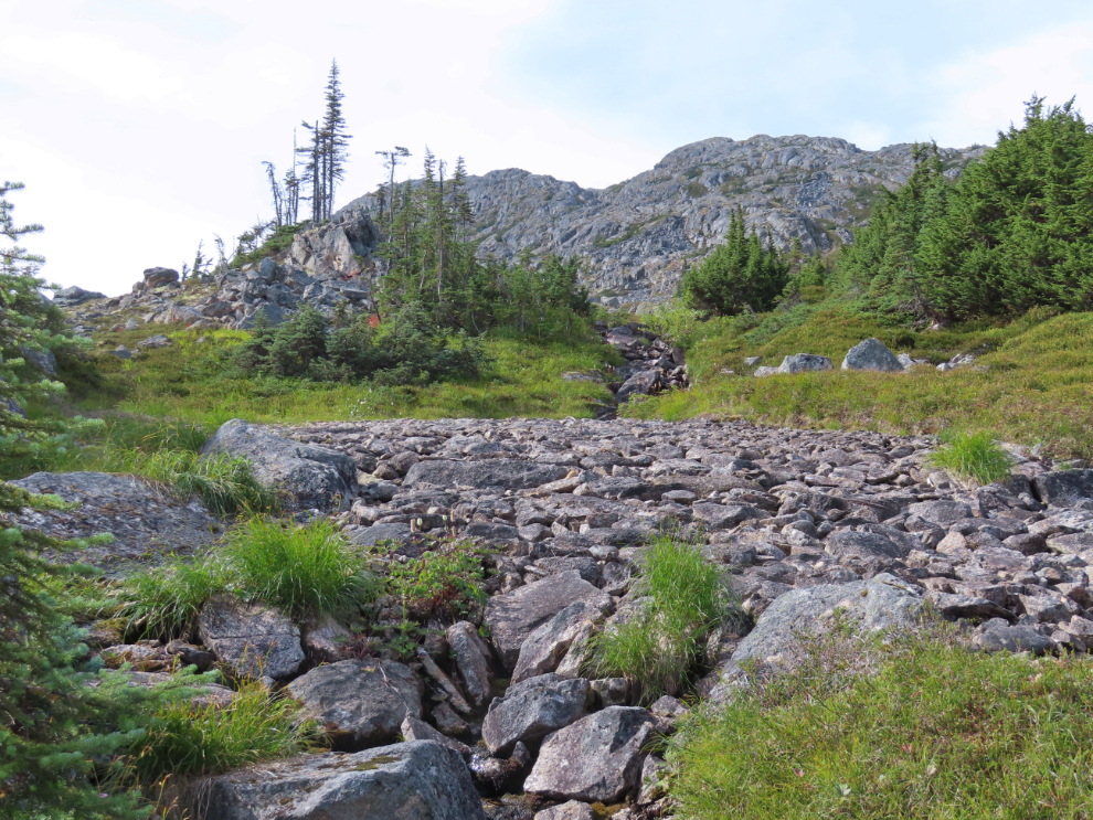 A fascinating bit of creek bed in the White Pass, north of Skagway, Alaska.