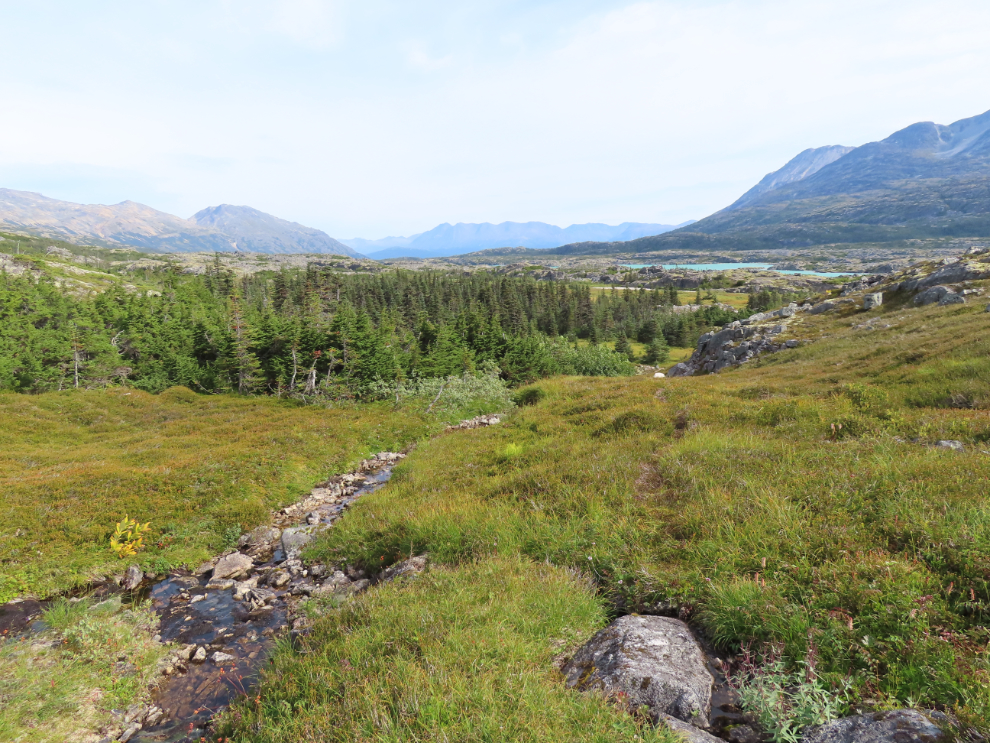 Hikingin the White Pass, north of Skagway, Alaska.