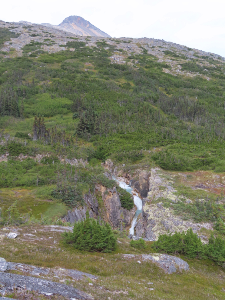 Hiking up Summit Creek in the White Pass, north of Skagway, Alaska.