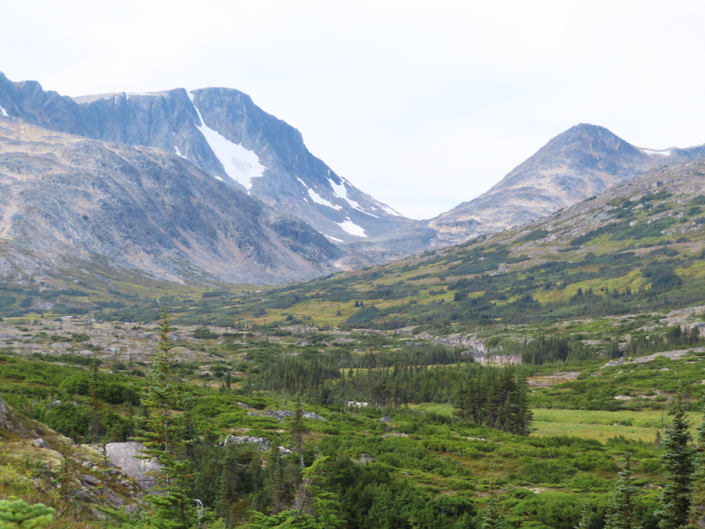 Looking towards the headwaters of Summit Creek on the South Klondike Highway.