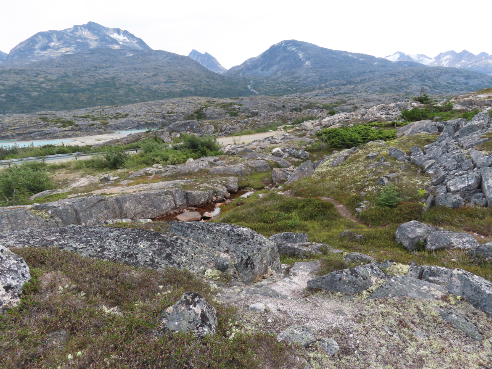Almost back to the South Klondike Highway, on a hike up Summit Creek.