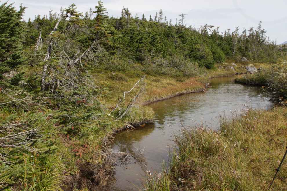 Hiking up Summit Creek on the South Klondike Highway - a creek to cross.