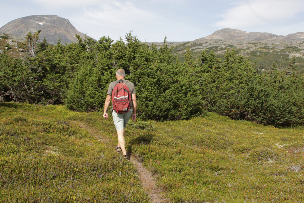Hiking up Summit Creek on the South Klondike Highway.