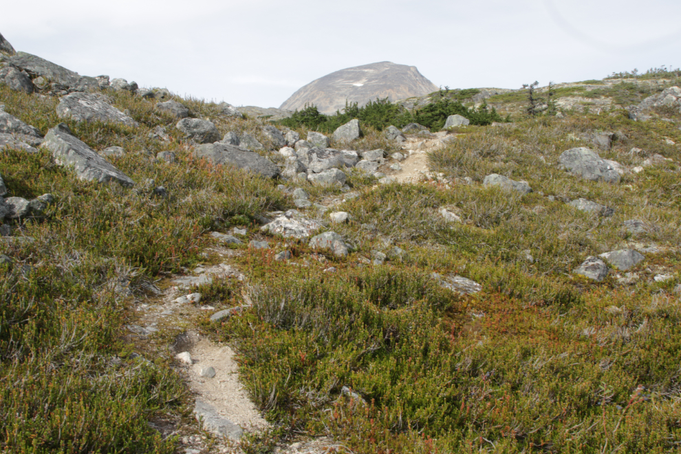 Hiking up Summit Creek on the South Klondike Highway.