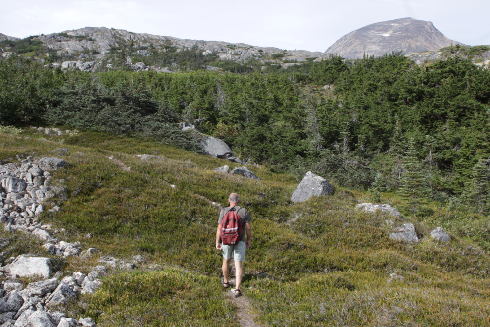 Hiking up Summit Creek on the South Klondike Highway.