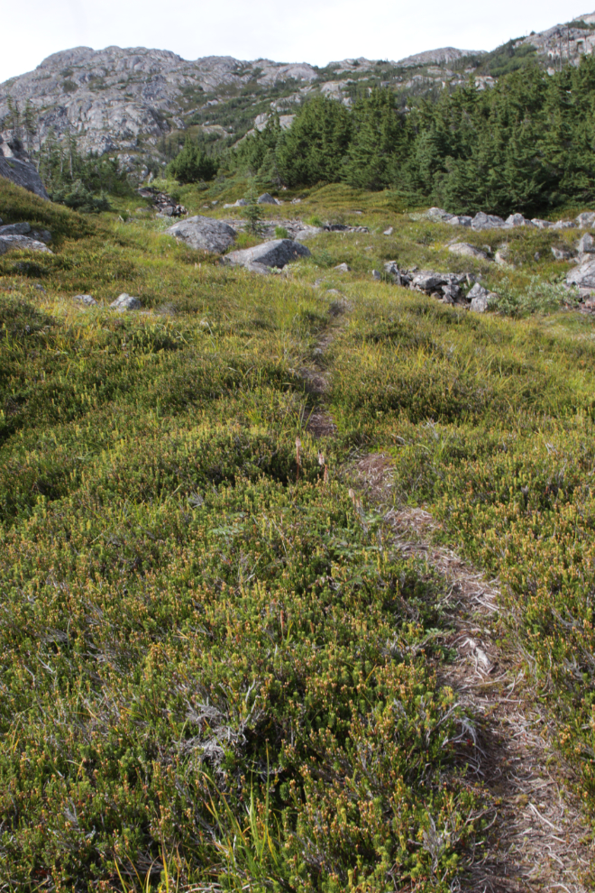 Hiking up Summit Creek on the South Klondike Highway.