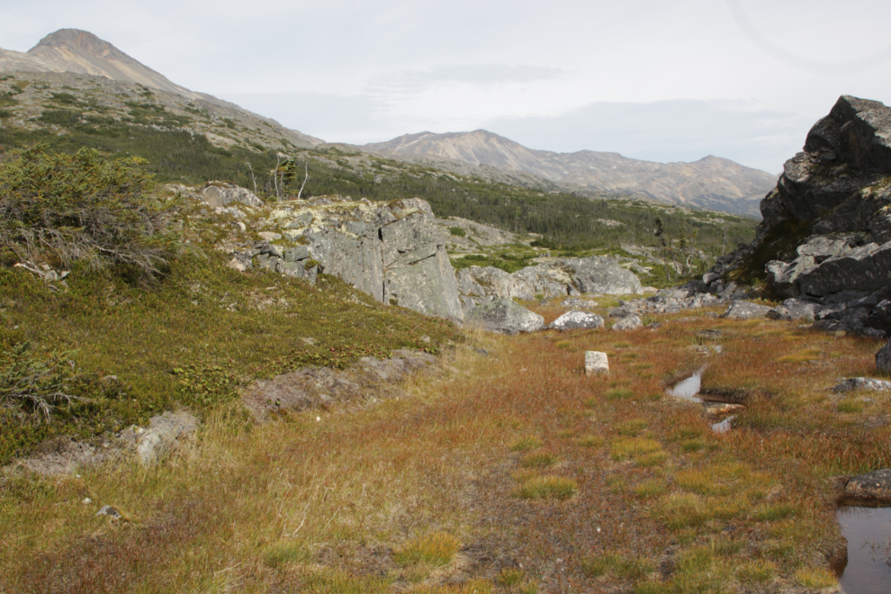 Hiking up Summit Creek on the South Klondike Highway.