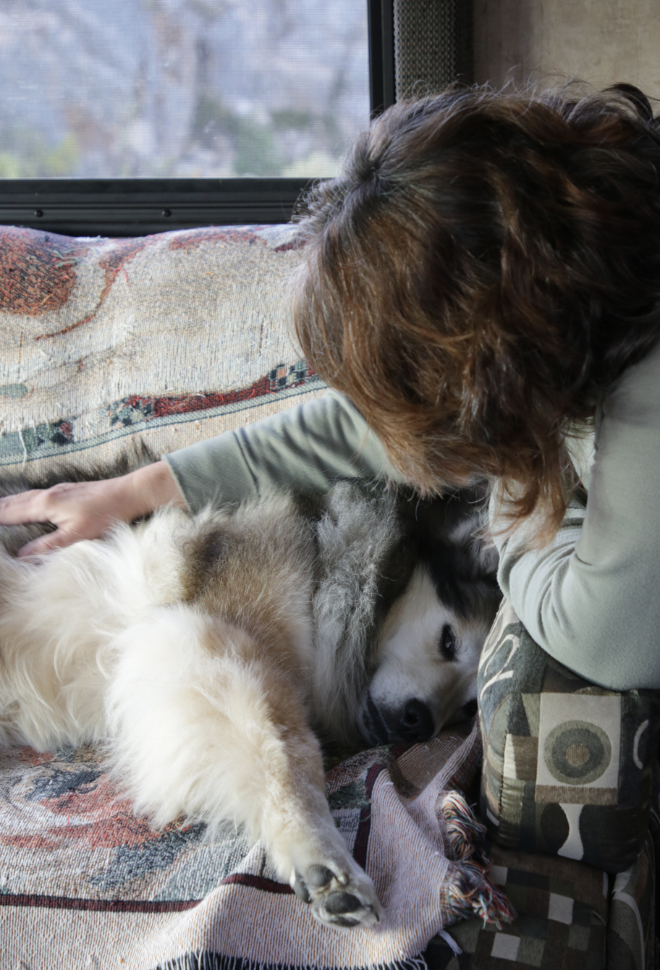 Love for our dog Bella to start the day off well in the RV.