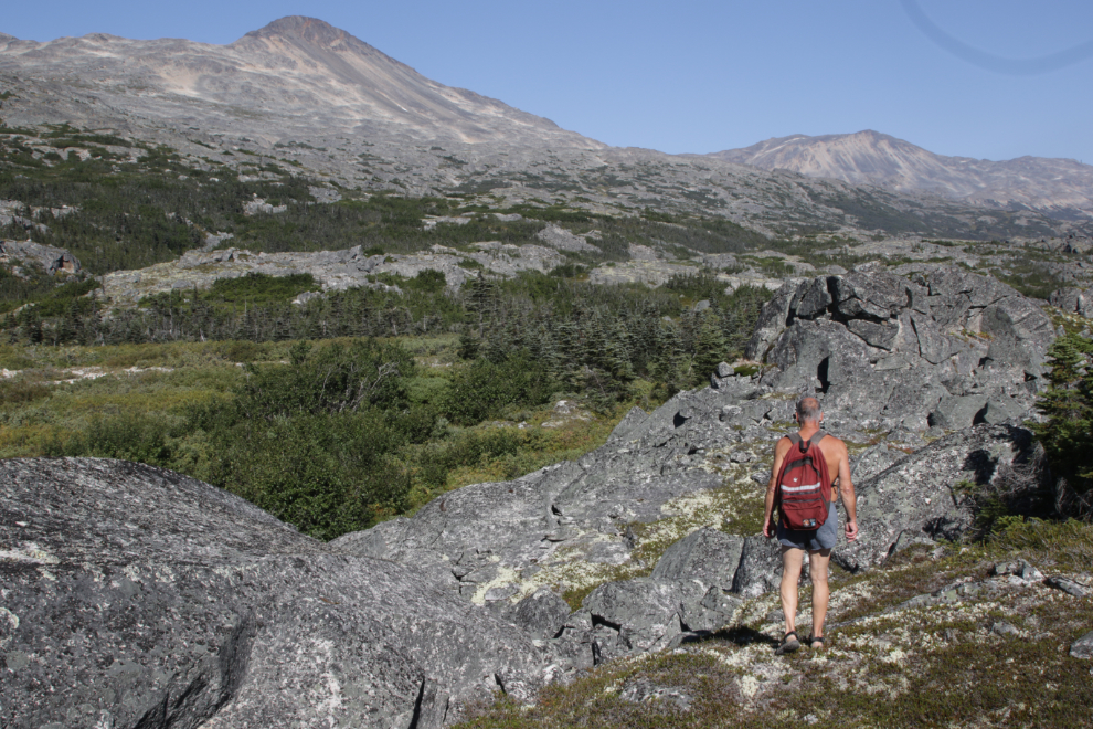 Hiking off-trail near Summit Creek in the White Pass.
