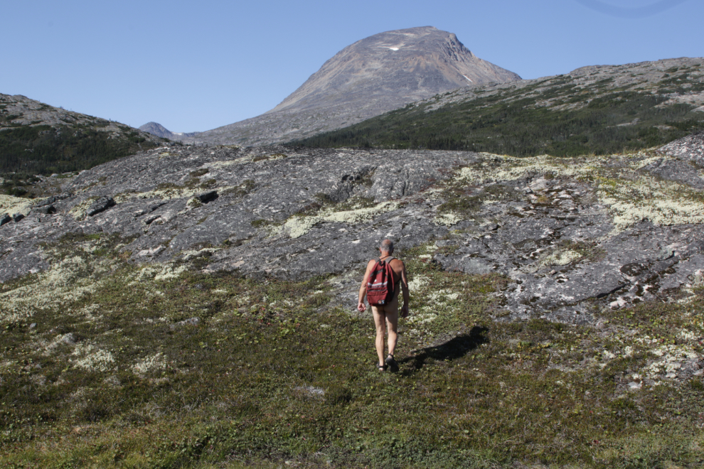 Hiking off-trail near Summit Creek in the White Pass.