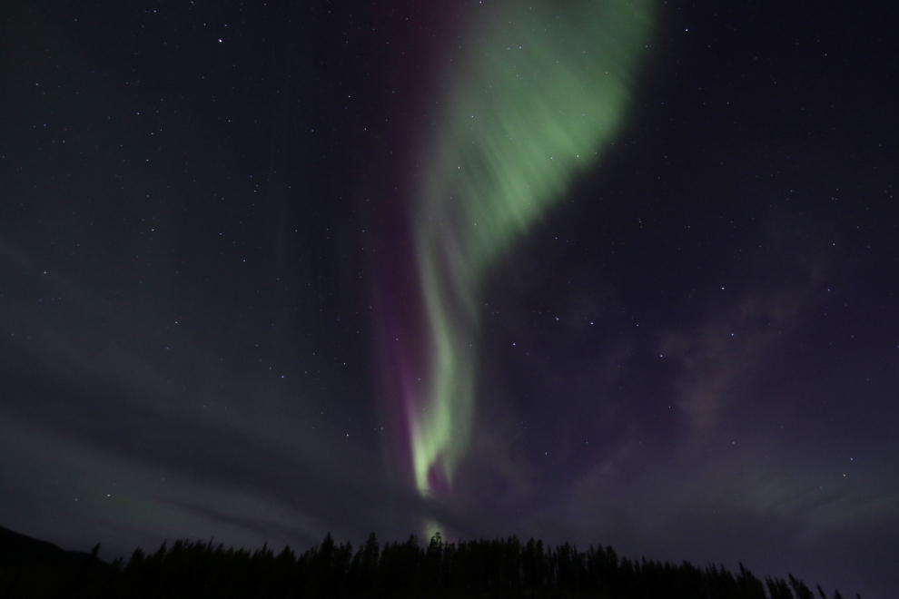 The aurora borealis at Whitehorse, Yukon.