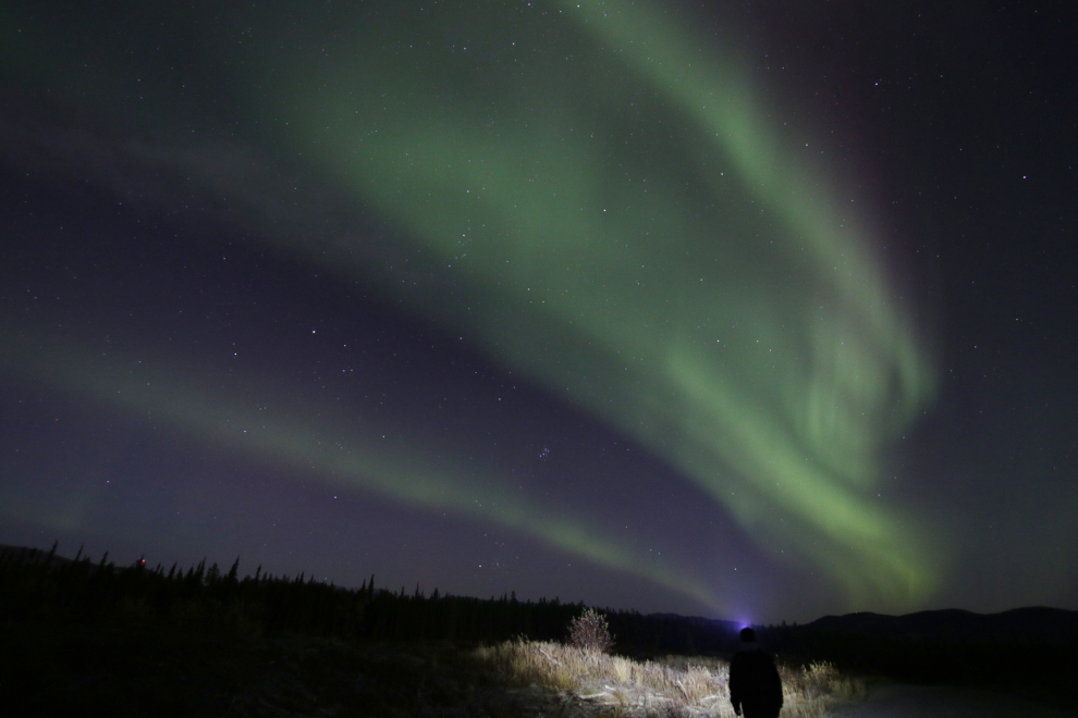 Watching the Northern Lights at Whitehorse, Yukon.