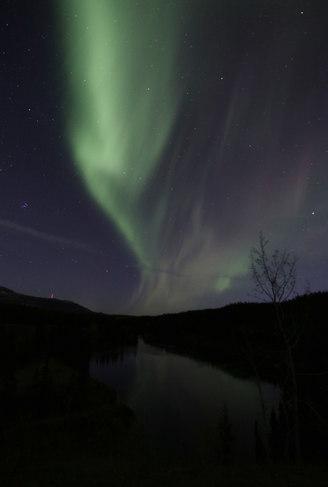 The aurora borealis at Miles Canyon Whitehorse, Yukon.