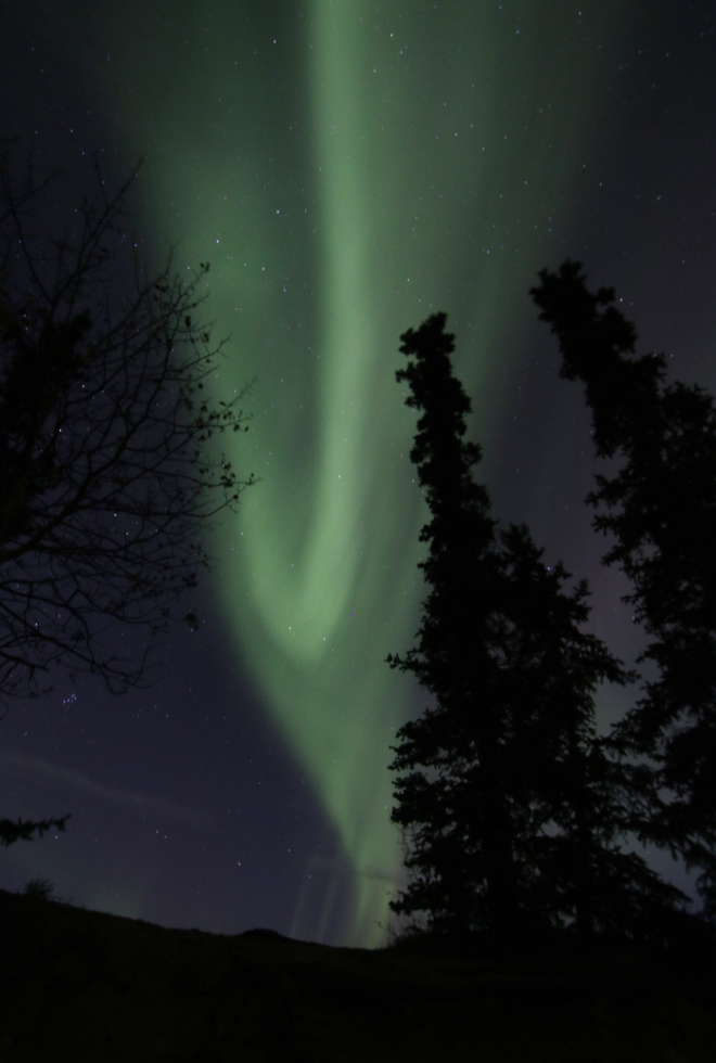 The aurora borealis at Miles Canyon Whitehorse, Yukon.