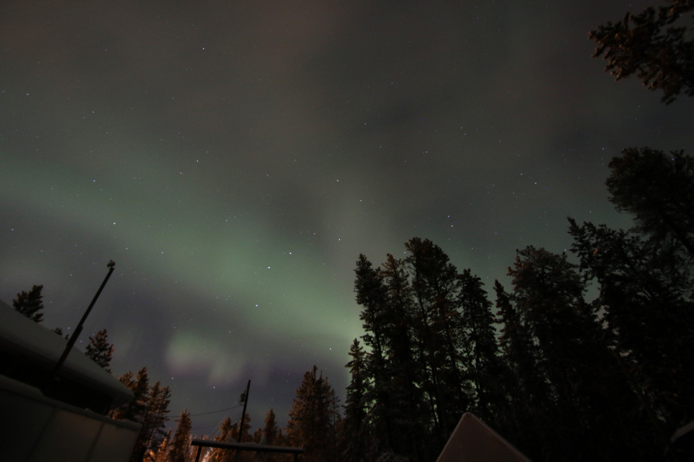 The aurora borealis in Whitehorse, Yukon.