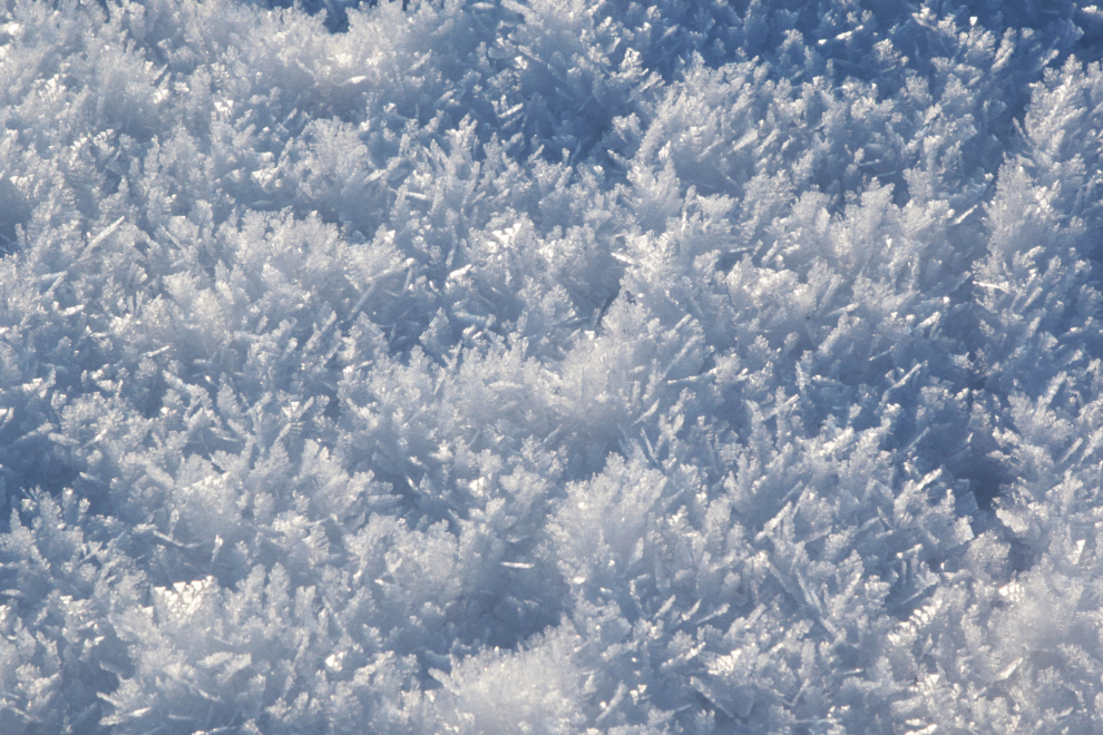 Snow crystals at Little Atlin Lake, Yukon.