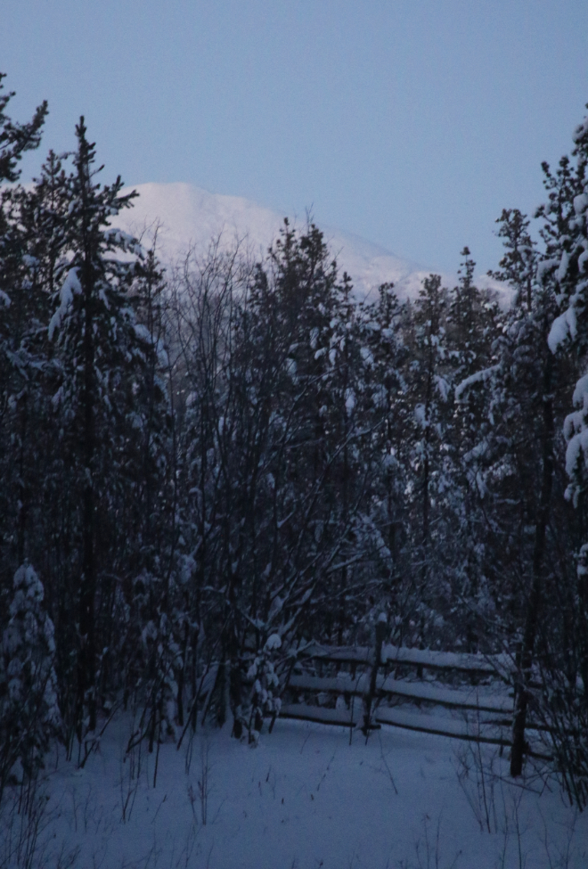 The view from my deck before sunrise in December, with the temperature at -41C.