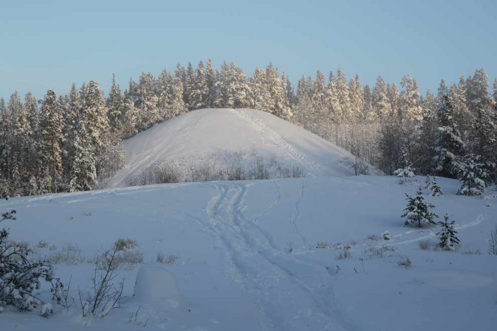 The Magnusson Trailhead at Whitehorse, Yukon, at 41 degrees below zero.