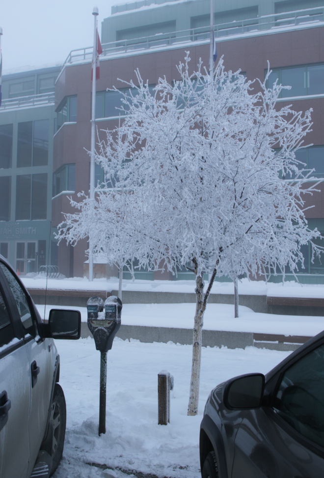 Parked in downtown Whitehorse, Yukon, at 41 degrees below zero.