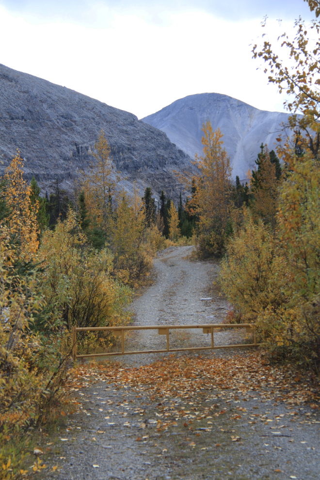 Gate across Summit Tower Road in Stone Mountain Park, BC