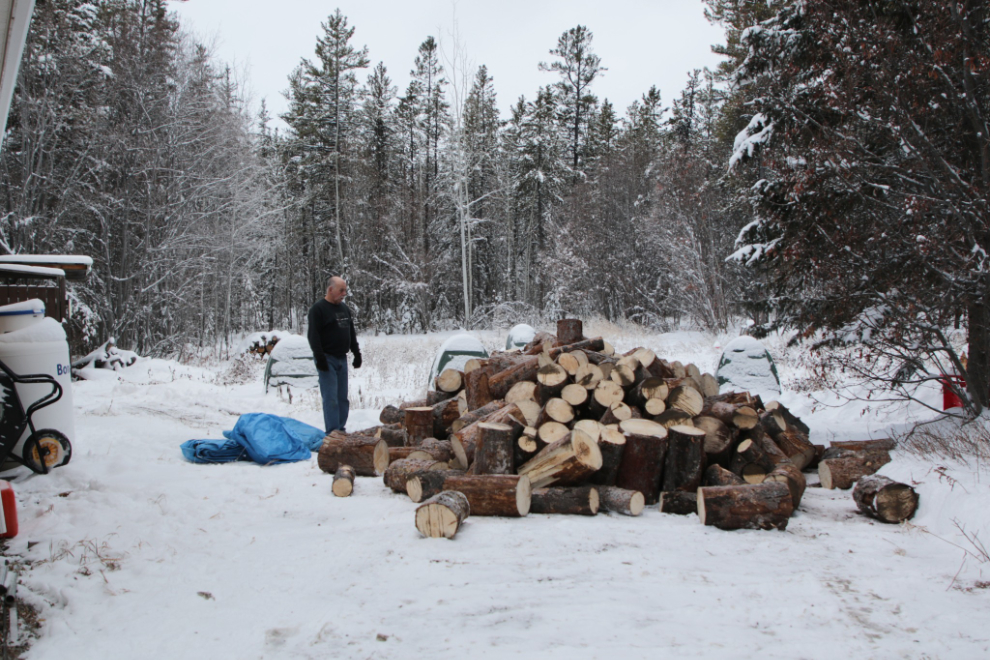 3 cords of beetle-killed pine firewood, delivered from Haines Junction