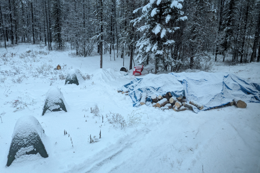 A bit of snow to hide the firewood which I would deal wth later.