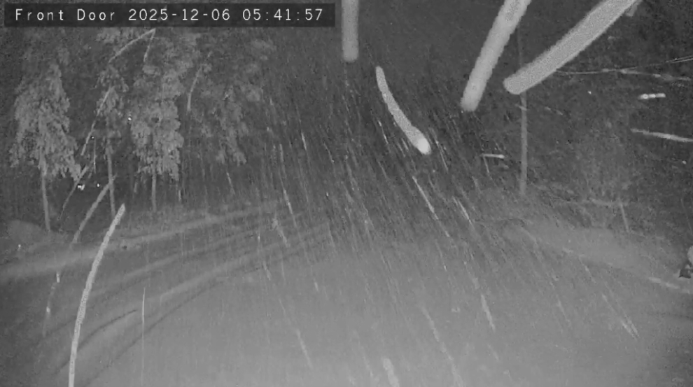 Snow and wind caught by our security camera.