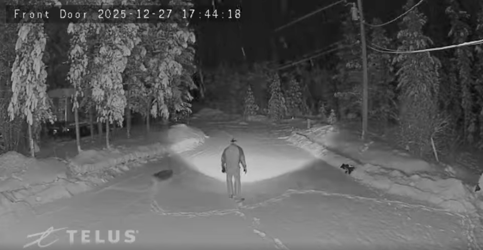 Taking the dogs for a walk on the snowy driveway at -22C.