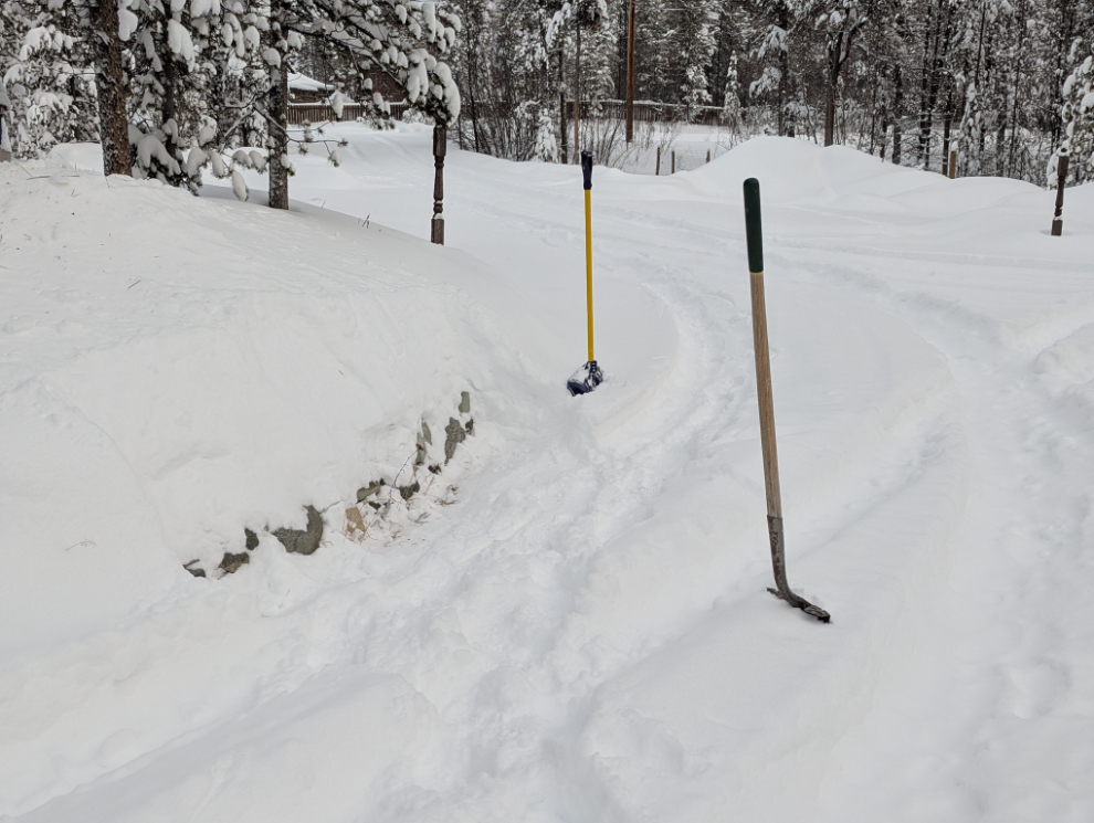 Cutting some edges to help to driveway plowing guy see where to go.