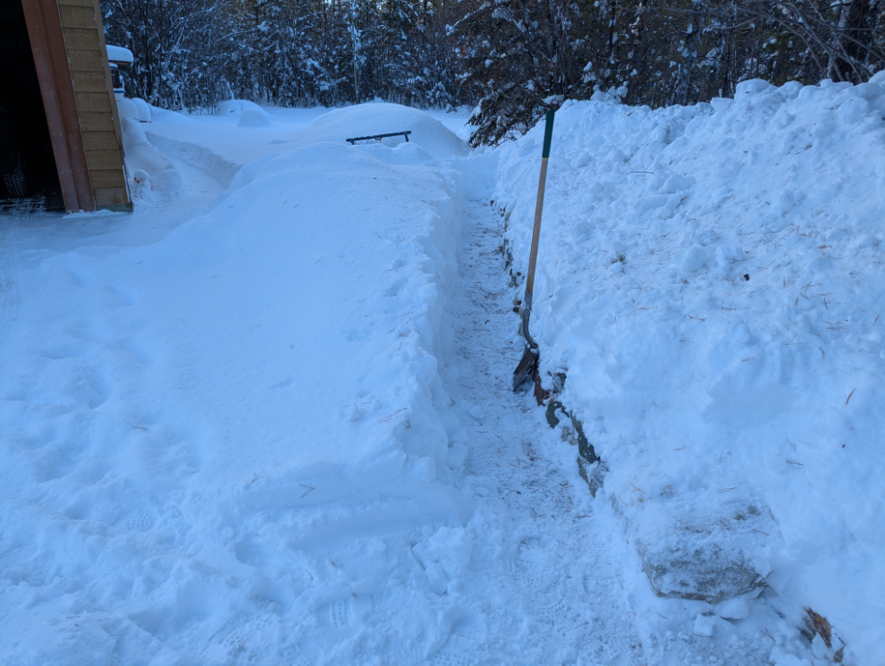 Cutting this edge to guide the skidsteer turned into a big job.