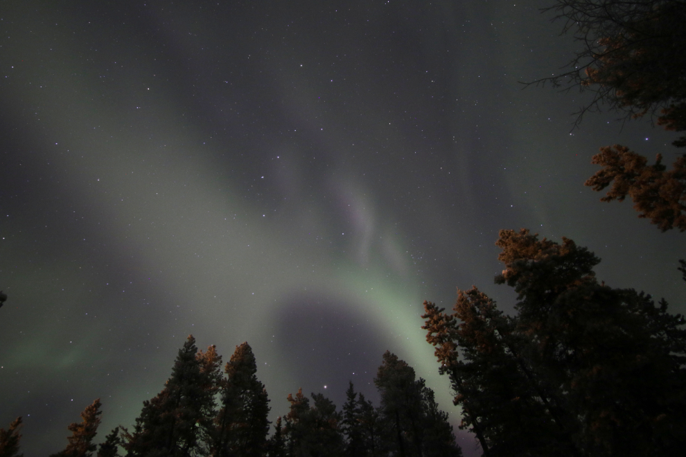 Aurora borealis at Whitehorse, Yukon