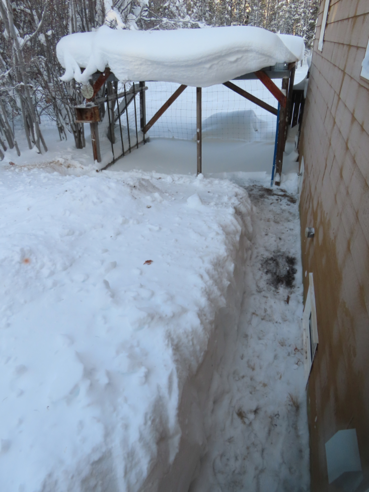 A path dug through deep snow to the bird feeder.