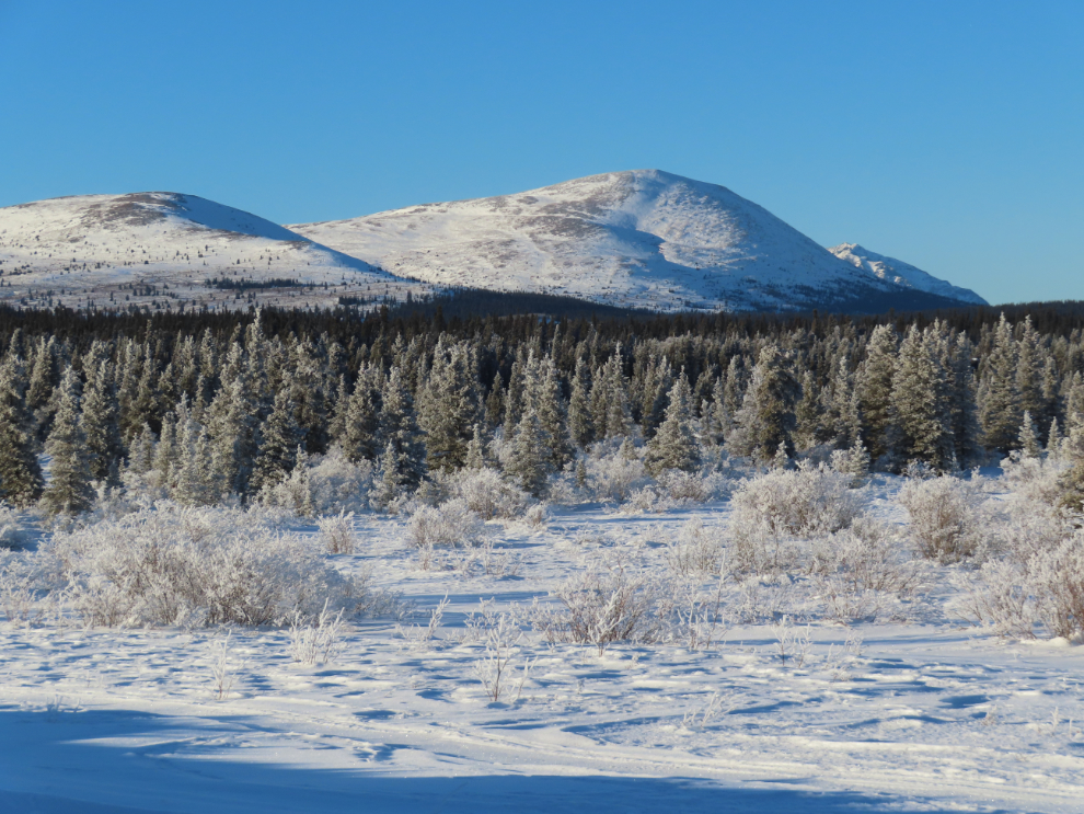 A brilliant blue sky at Fish Lake in January.