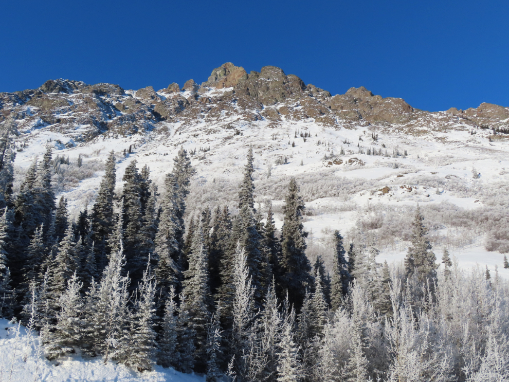 Dail Peak, immediately north of the Yukon-BC border on the South Klondike Highway.