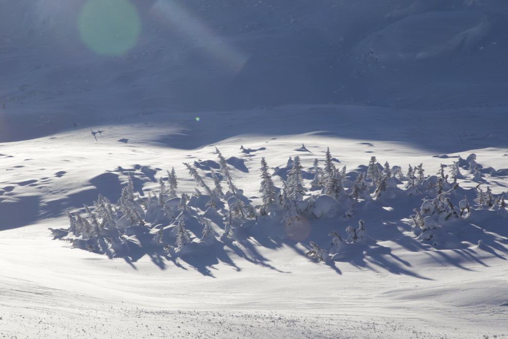 Superb light in the White Pass.