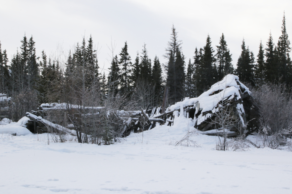 Log cabin ruins at the ghost town  of Kluane (Silver City), Yukon, in February