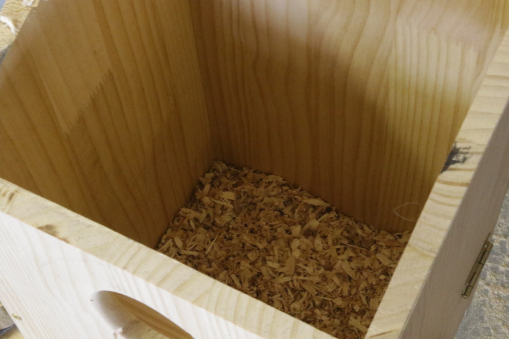 Building a boreal owl nesting box.