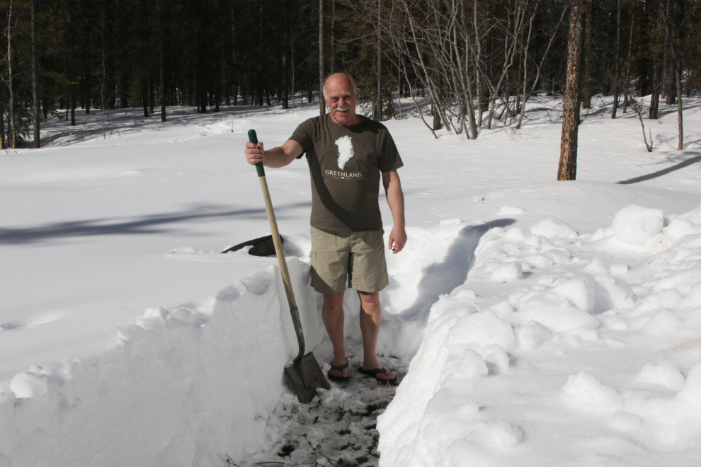 Digging a path to the tree I want to install a boreal owl nesting box on.