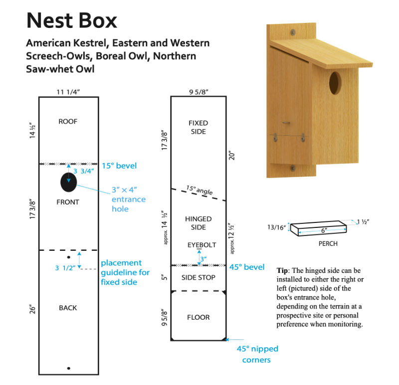 Building a boreal owl nesting box - plans.