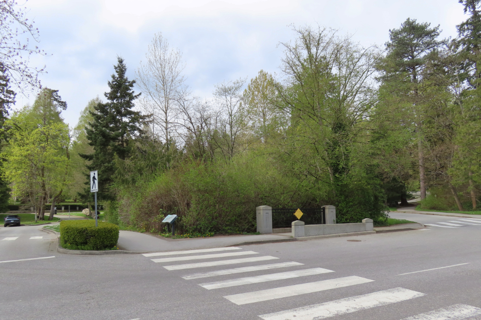 The BC Hydro Salmon Stream in Stanley Park at Vancouver.