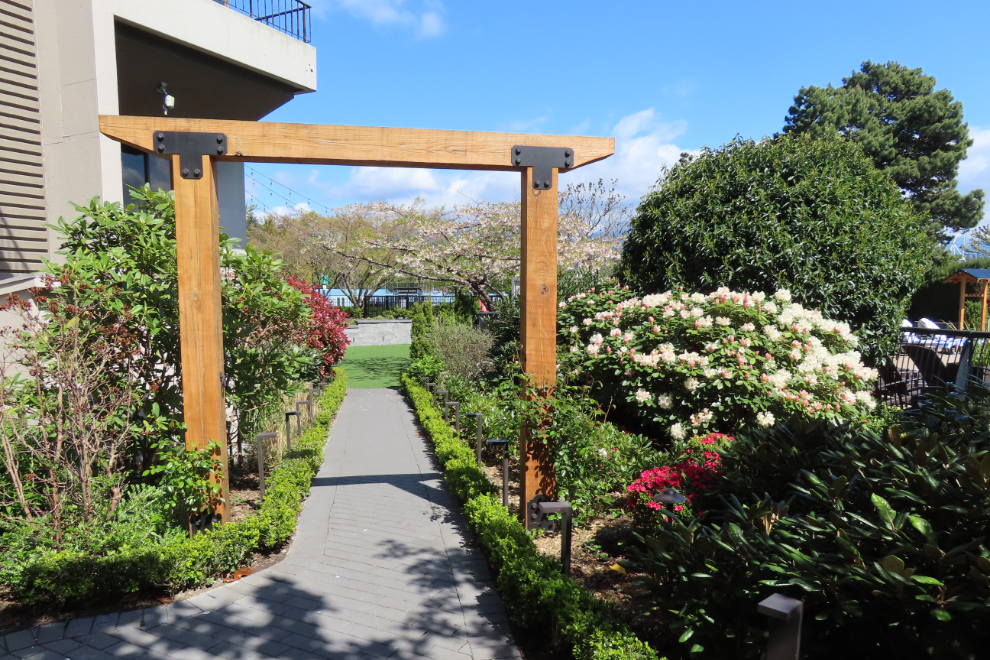 The main garden area at the Westin Bayshore Hotel in Vancouver.