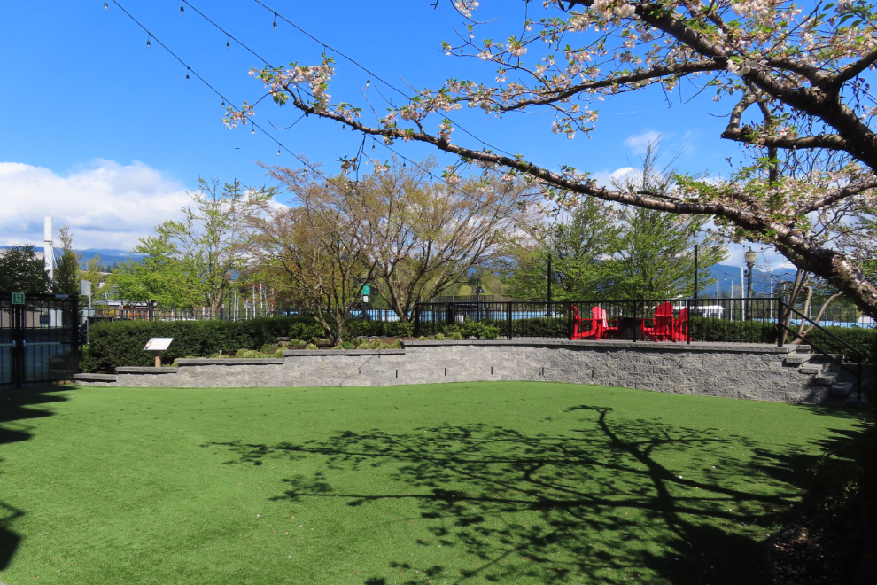 A quiet area behind the Westin Bayshore Hotel in Vancouver.