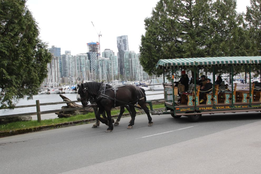 A horse tour of Stanley Park in Vancouver.