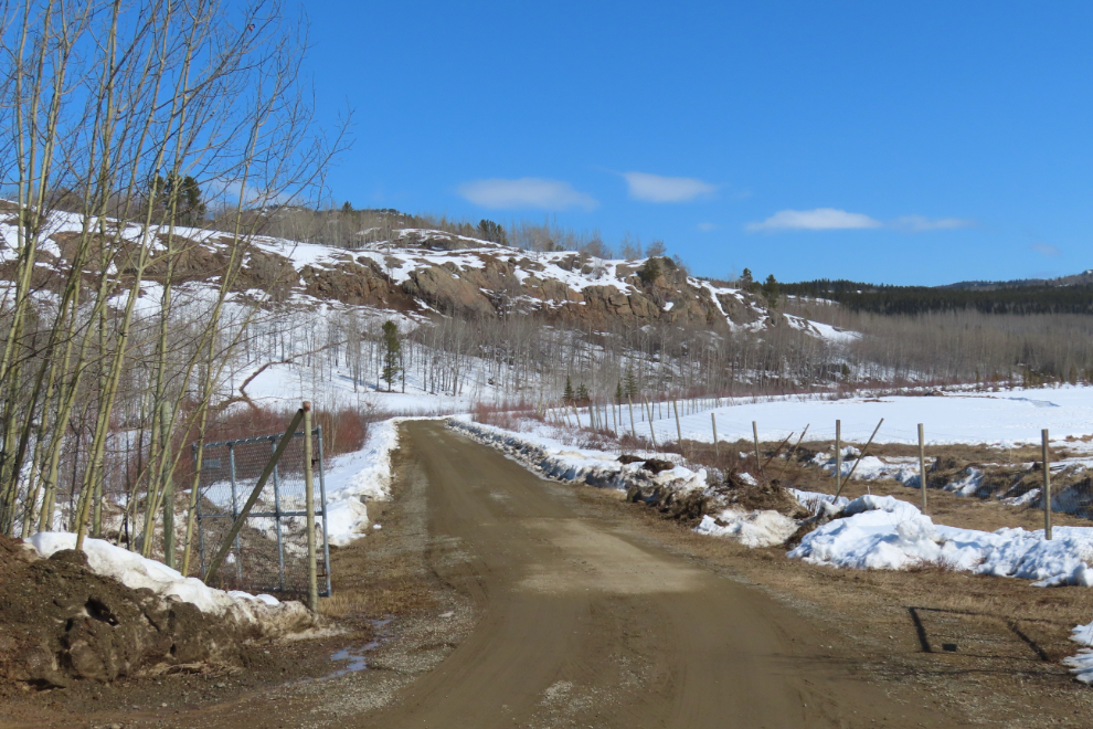 The Yukon Wildlife Preserve in late April.