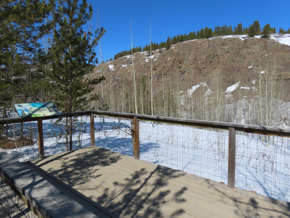 The upper mountain goat viewing platform at the Yukon Wildlife Preserve.