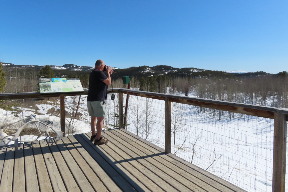 The upper caribou viewing platform at the Yukon Wildlife Preserve.