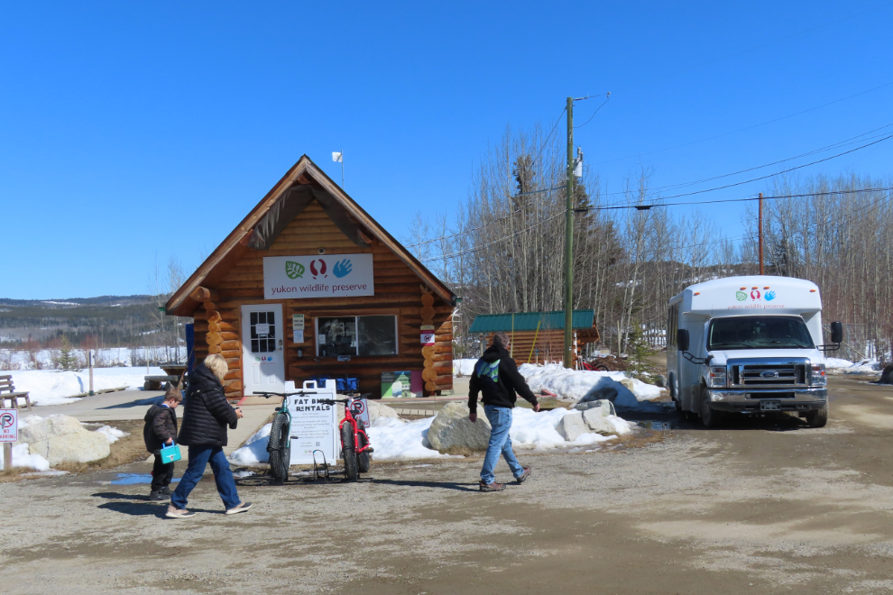 The Yukon Wildlife Preserve near Whitehorse.